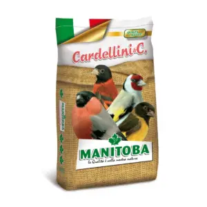 Manitoba Cardellini Fresh