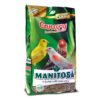 Manitoba Canary Best Premium