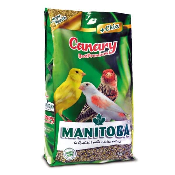 Manitoba Canary Best Premium