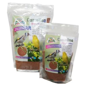 Camelina Evia Parrots