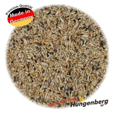 Hungenberg Positur & Farbe Italia