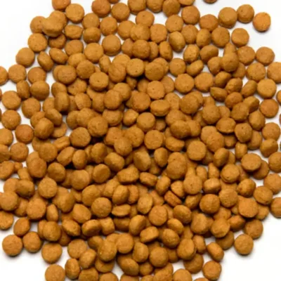 Psittacus High Energy Pellets