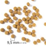 Psittacus High Protein Pellets Size