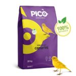 Pico Extra Premium Canarini