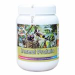 Evia Parrots Insect Protein