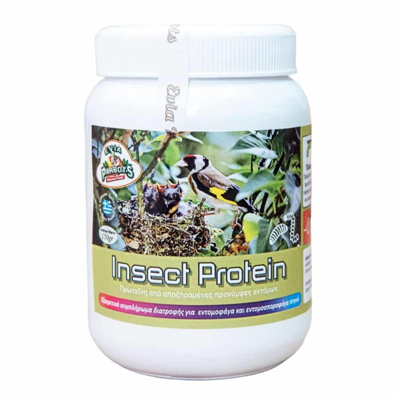 Evia Parrots Insect Protein