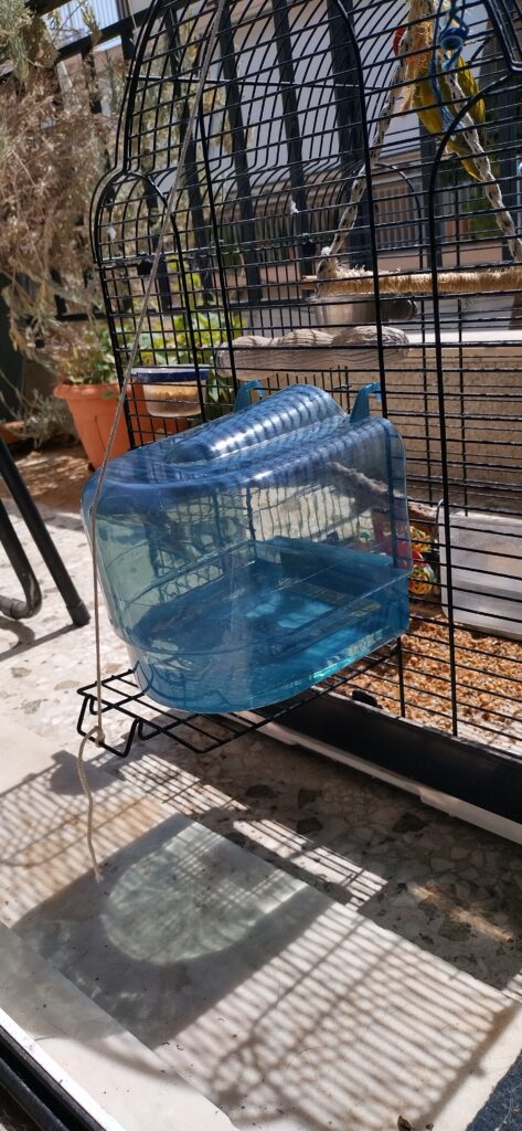 Image #2 from Σήλια Παπαθανασίου