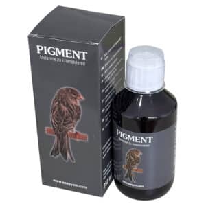 Easyyem Pigment 100ml