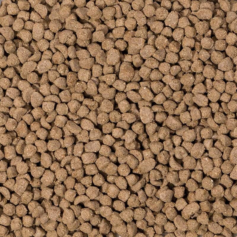 Beaphar Care+ Rabbit Junior Pellets