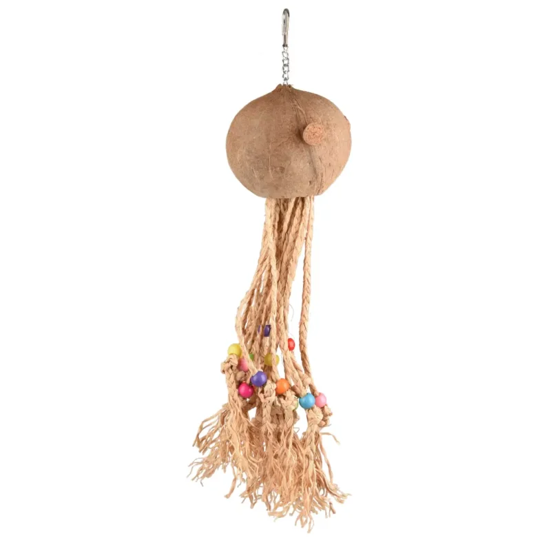 flamingo-duma-octopus-coconut Flamingo Duma Octopus Coconut