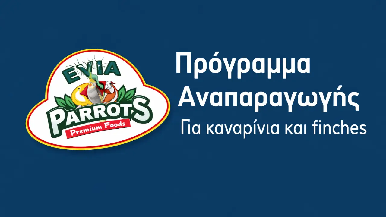 Πρόγραμμα Αναπαραγωγής της Evia Parrots