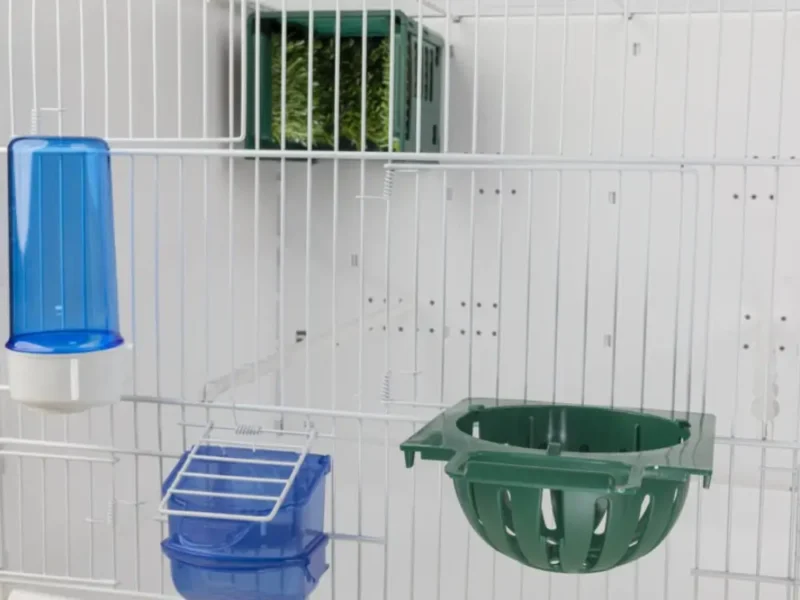 Φωλια Dream με το καλαθάκι της στερεωμένο στην πόρτα του κλουβιού